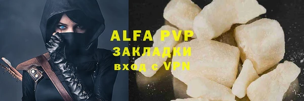 шишки Инсар