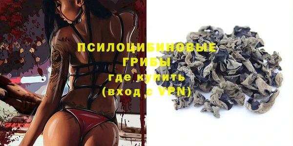 mdpv Инта