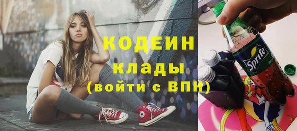 шишки Инсар