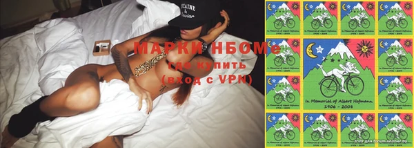 шишки Инсар