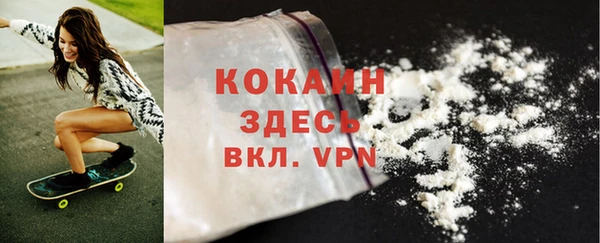 mdpv Инта