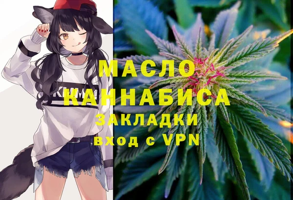 шишки Инсар