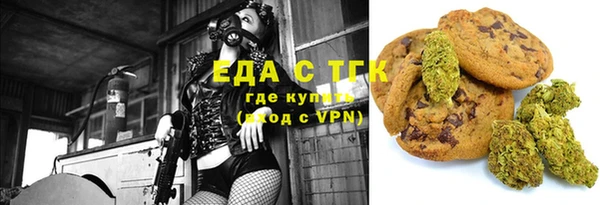 шишки Инсар